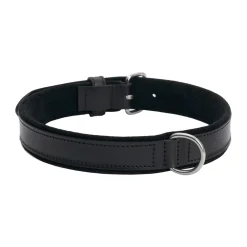 Collare per cane in pelle Regal