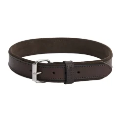 Collare per cane in pelle Regal