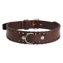 Collare per cane in pelle Titano