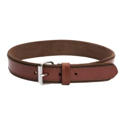 Collare per cane in pelle Regal